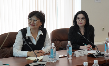 Эксперты ЦНИИОИЗ поделились с коллегами из Казахстана опытом и методологическими наработками по оргздраву